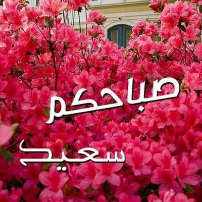 harith_shakir's profile picture. 