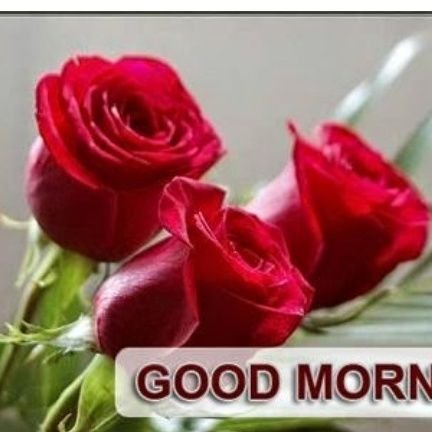 Jyoti58470192's profile picture. my daughter,son