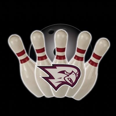 Westosha Central High School Bowling Team @westoshachs 2015-16 District Winners🎳🏅