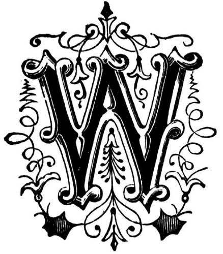 Wakesi's profile picture. Vocal: @cln_w
Guitarra/vocais: @DorfoDorfoDorfo
Guitarra: @Hugoyig
Baixo/teclado: @mandisene
Bateria: _