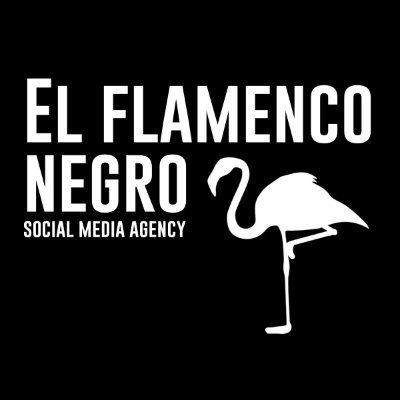 negro_flamenco's profile picture. SOCIAL ADS & SOCIAL MEDIA MARKETING AGENCY🧪 Having fun with #FacebookAds, strategies that work, and scaling your sales⚡️