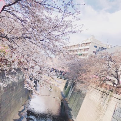 r_shinee14's profile picture. 19ｻｲ