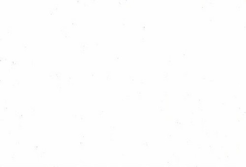 SEO_Ireland's profile picture. 