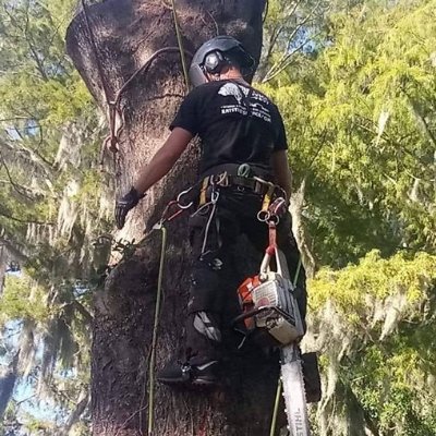One of Central Florida's top tree care providers. We offer tree trimming, tree removal, diagnosis/treatment, tree planting, land clearing, and site development.