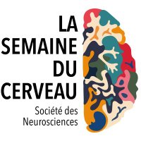Semaine du Cerveau Toulouse (@sdc_toulouse_) 's Twitter Profile Photo