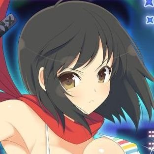 閃乱カグラ/アイマス/デレステ(十時愛梨P)/アズレン/FGO/ガンダム他ロボ物/特撮