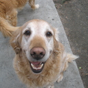 DJ Hoffman - @Tweet_This2 - Twitter