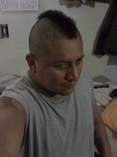 pedropatoangel's profile picture. 