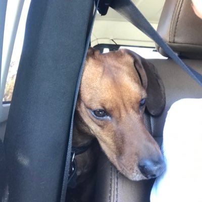 QuincampoixZ's profile picture. 