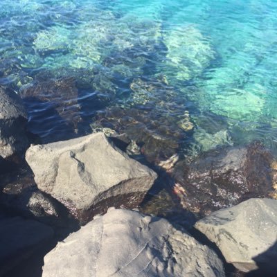 FishyCreations's profile picture. 18+ // She/Her // Arknights + OCs // Do not repost/trace/steal/use for NFT/AI // @fishy_creations for ocs and crashouts