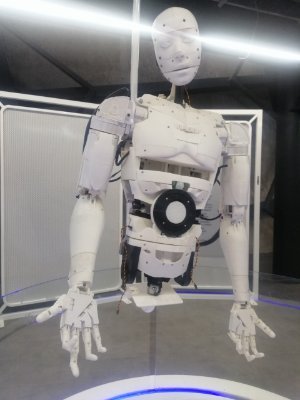 InavaRnunez's profile picture. 