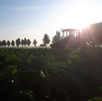 SjoerdHem's profile picture. .