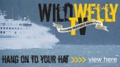 WildWellyTV's profile picture. Welcome to Wild Welly TV capturing the flavour of New Zealand's Capital City Wellington with all sorts of related TV and video content.
Wellington...it's wild!