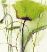 MollysDesigns's profile picture. Floral Design & Event Planning