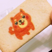 寧々@固ツイご確認ください (@melonpanzzz) Twitter profile photo