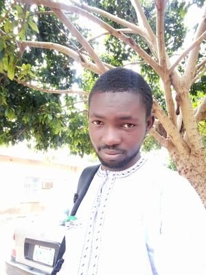 born and raised in Gombe, Simple and tolerant but sumtyms stiff, love jokes and physics.... 

A physicist...