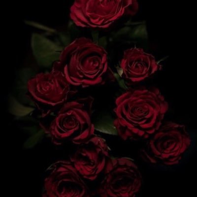 Shahad40436532's profile picture. 