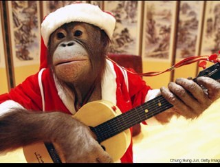 lumatlou's profile picture. 