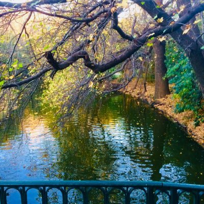 Brutien13's profile picture. Je suis le calme précédant la tempête..Rejet total de la Rem. Croyant...en la laïcité. Islamistes et affidés : dehors, au bled sans exception..