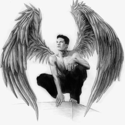 LogicBomb17's profile picture. English Professor, Cat Breeder, Real Estate Agent and Landlord.