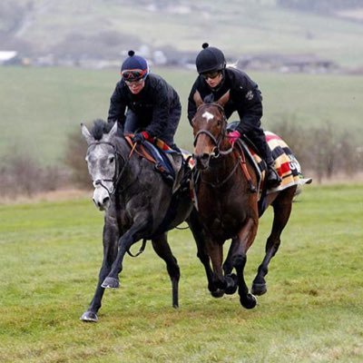 23. Nicky Henderson Racing 🏇🏽