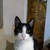 Alfonso Fernandez M (@duro1826) Twitter profile photo Alfonso Fernandez M (@duro1826) Twitter profile photo