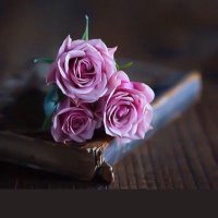 الامل 🤍 (@amal1976_) 's Twitter Profile Photo