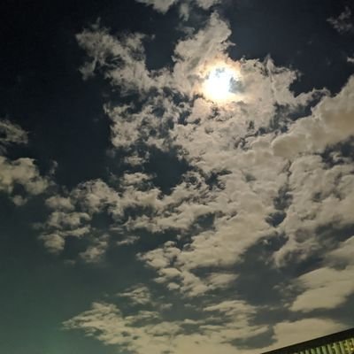 F0rell's profile picture. 知り合い用だったもの || 泉丘70th → TUT CS19 || 某サークルの元部長 || 中の人(@KashEight)