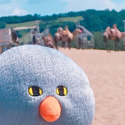 こうのさんのプロフィール画像