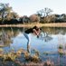 Ana Ramirez (@anamariarphoto) Twitter profile photo Ana Ramirez (@anamariarphoto) Twitter profile photo