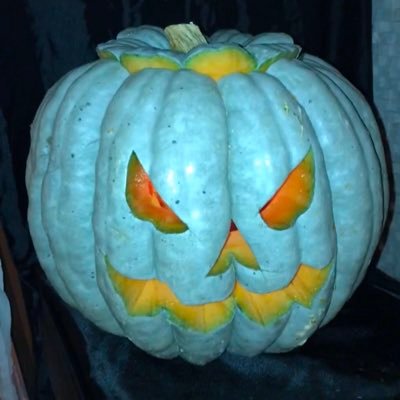 EyyubiSelhattin's profile picture. jı boye Kürdistan’a. rengi her biji ala me✡️ yezdisi 🦚