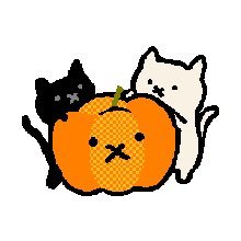 lgbtgarnet's profile picture. mack / fucking superb, you funky little lesbian