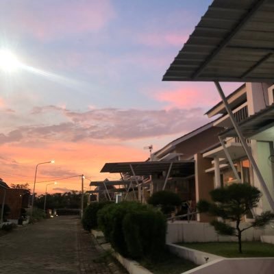 vioekaf's profile picture. 