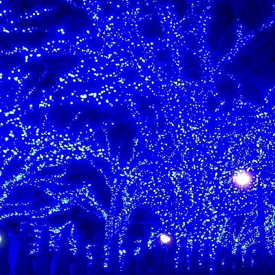 michalove_kouji's profile picture. 元AKB野中美郷永遠の神推し、櫻坂、ペーちゃんと有美ちゃんと玲ちゃん神推し