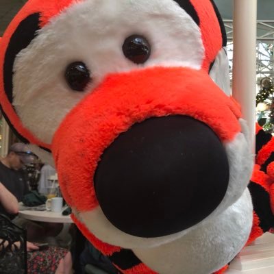 lisa_mays's profile picture. 