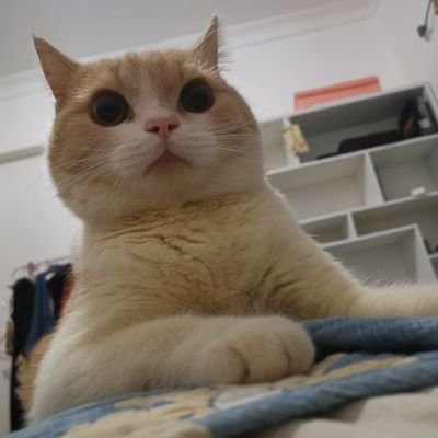 interestingJK's profile picture. #当代社畜#不正经青年#奶茶瘾患者#吸猫达人#撸犬达人#假装正经#伪文艺青年