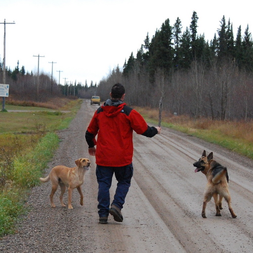 gallanttravis's profile picture. PEI born and raised. Across the pond in the metropolis of Halifax now!