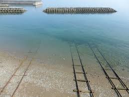 chi_11253's profile picture. よかったら、絡んでください^ ^＃読書  #SUNABACO #でざいん9th