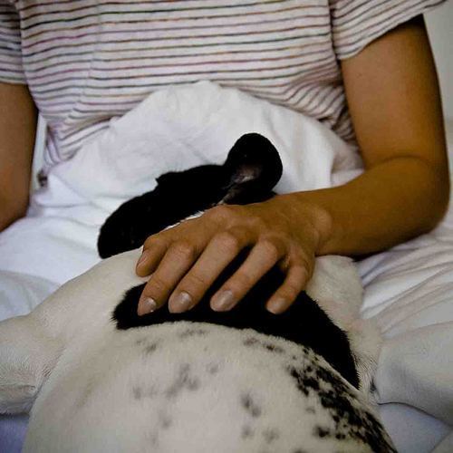 Anh_Phi's profile picture. 