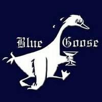Bluegoose (@ibmninja.bsky.social)(@IBMninja) 's Twitter Profile Photo