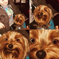 tobes, the Zutara stan from Dograssi High (@standanglokta) 's Twitter Profile
