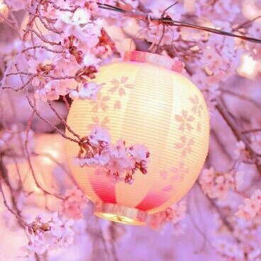 fnj_kobayashi's profile picture. 