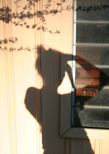 mikaela_d's profile picture. 28. busy bee wifey & muma, working hard to achieve the house of my dreams one DIY at a time. I also teach, do freelance design & make handmade jewellery.