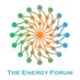 The Energy Forum India (@TEFIndia) Twitter profile photo