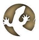 DRZreptilien's profile picture. Hier twittert das Team des Deutschen Reptilien-Zentrums (DRZ) aus Springe: Neue Infos zu unseren Reptilien, Amphibien und Wirbellosen für unsere Kunden.