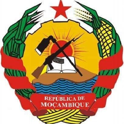 O Ministério da Saúde (MISAU) é responsável pela aplicação da politica de saúde no domínio privado, público e comunitário em todo o território de Moçambique.