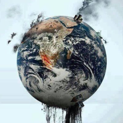 BohemianKicks's profile picture. 