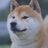 mhosopi's profile image