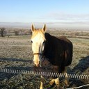 Kerry Corbett - @Kerrylina_93 - Twitter