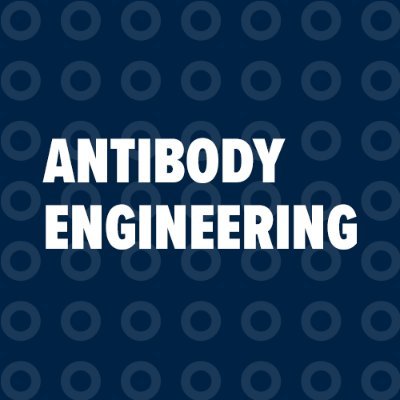 Antibody Engineering